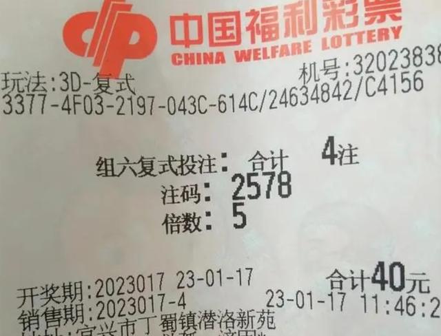 2025年澳门今晚开奖号码-构建解答落实，理性面对彩票与信息甄别