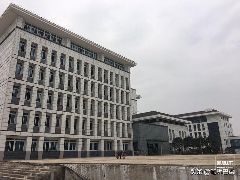 达宣快速通道最新进展
