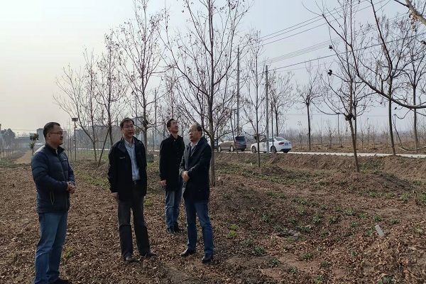 界首市邴集乡最新消息