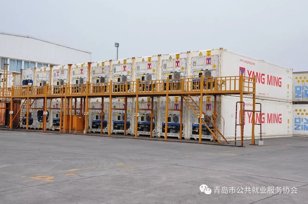 黄岛集装箱驾驶员最新招聘