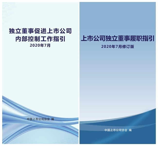精准一肖一码一子一中，全面释义解释落实