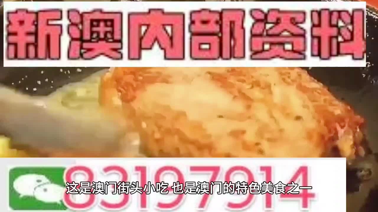 新澳门2025资料大全精选解析，词语释义解释落实